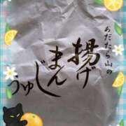 ヒメ日記 2025/04/11 21:33 投稿 さくら 奥様メモリアル