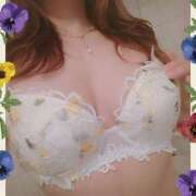 ヒメ日記 2025/04/12 08:33 投稿 さくら 奥様メモリアル