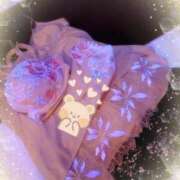 ヒメ日記 2025/04/12 23:03 投稿 さくら 奥様メモリアル