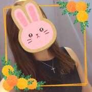 ヒメ日記 2025/04/15 11:33 投稿 さくら 奥様メモリアル