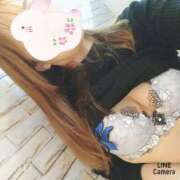 ヒメ日記 2025/04/25 13:48 投稿 さくら 奥様メモリアル