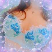 ヒメ日記 2025/05/16 08:42 投稿 さくら 奥様メモリアル