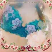 ヒメ日記 2025/05/18 10:57 投稿 さくら 奥様メモリアル