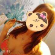 ヒメ日記 2025/06/03 08:48 投稿 さくら 奥様メモリアル