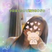 ヒメ日記 2025/06/03 16:48 投稿 さくら 奥様メモリアル