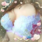 ヒメ日記 2025/06/04 12:12 投稿 さくら 奥様メモリアル