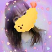 ヒメ日記 2025/06/07 08:57 投稿 さくら 奥様メモリアル