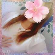 ヒメ日記 2025/06/09 22:33 投稿 さくら 奥様メモリアル