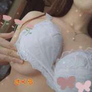 ヒメ日記 2025/06/22 21:58 投稿 さくら 奥様メモリアル