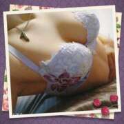 ヒメ日記 2025/06/25 11:42 投稿 さくら 奥様メモリアル