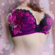 ヒメ日記 2025/06/29 08:48 投稿 さくら 奥様メモリアル