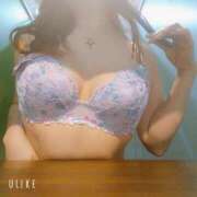 ヒメ日記 2025/07/17 10:54 投稿 さくら 奥様メモリアル