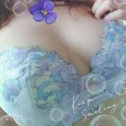 ヒメ日記 2025/08/06 10:36 投稿 さくら 奥様メモリアル