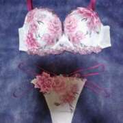 ヒメ日記 2025/08/19 11:15 投稿 さくら 奥様メモリアル