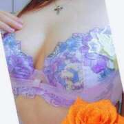 ヒメ日記 2025/08/22 22:57 投稿 さくら 奥様メモリアル