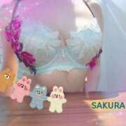 ヒメ日記 2025/09/05 11:54 投稿 さくら 奥様メモリアル