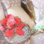 ヒメ日記 2025/09/11 10:54 投稿 さくら 奥様メモリアル