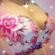 ヒメ日記 2025/09/13 08:27 投稿 さくら 奥様メモリアル