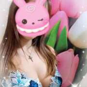 ヒメ日記 2025/09/19 12:06 投稿 さくら 奥様メモリアル