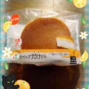 ヒメ日記 2025/09/20 17:57 投稿 さくら 奥様メモリアル