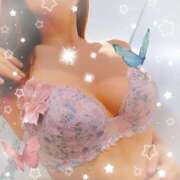 ヒメ日記 2025/10/08 12:33 投稿 さくら 奥様メモリアル