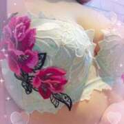 ヒメ日記 2025/10/28 19:33 投稿 さくら 奥様メモリアル