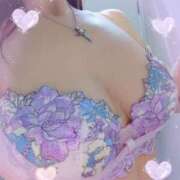 ヒメ日記 2025/10/31 08:12 投稿 さくら 奥様メモリアル