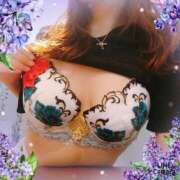 ヒメ日記 2025/11/01 09:33 投稿 さくら 奥様メモリアル