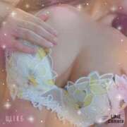 ヒメ日記 2025/11/10 21:03 投稿 さくら 奥様メモリアル