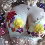 ヒメ日記 2025/11/13 11:03 投稿 さくら 奥様メモリアル