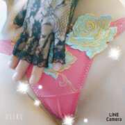 ヒメ日記 2025/11/15 08:18 投稿 さくら 奥様メモリアル