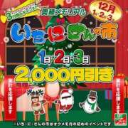 ヒメ日記 2025/12/02 11:48 投稿 さくら 奥様メモリアル