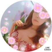 ヒメ日記 2025/12/19 11:48 投稿 さくら 奥様メモリアル