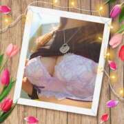 ヒメ日記 2026/01/01 23:42 投稿 さくら 奥様メモリアル