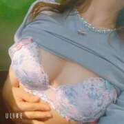 ヒメ日記 2026/01/05 13:18 投稿 さくら 奥様メモリアル