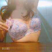 ヒメ日記 2026/01/21 12:18 投稿 さくら 奥様メモリアル