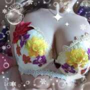 ヒメ日記 2026/01/28 09:57 投稿 さくら 奥様メモリアル