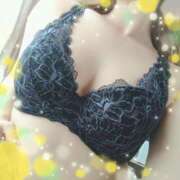 ヒメ日記 2026/02/06 11:18 投稿 さくら 奥様メモリアル