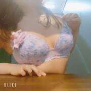 ヒメ日記 2026/02/12 21:18 投稿 さくら 奥様メモリアル