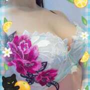 ヒメ日記 2026/03/26 11:57 投稿 さくら 奥様メモリアル