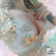 ヒメ日記 2026/04/01 13:33 投稿 さくら 奥様メモリアル