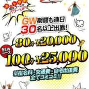 ヒメ日記 2026/05/06 13:03 投稿 さくら 奥様メモリアル