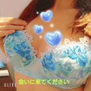 ヒメ日記 2026/09/24 09:52 投稿 さくら 奥様メモリアル
