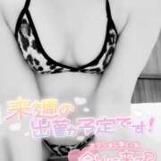 ヒメ日記 2024/12/20 13:18 投稿 ゆり 奥様メモリアル