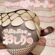 ヒメ日記 2025/02/13 07:12 投稿 ゆり 奥様メモリアル