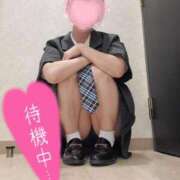 ヒメ日記 2025/03/11 12:12 投稿 ゆり 奥様メモリアル