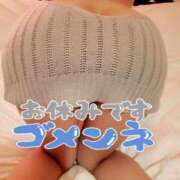 ヒメ日記 2025/03/24 12:03 投稿 ゆり 奥様メモリアル