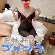 ヒメ日記 2025/04/12 12:33 投稿 ゆり 奥様メモリアル