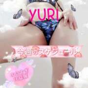 ヒメ日記 2025/04/19 19:48 投稿 ゆり 奥様メモリアル