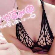 ヒメ日記 2025/05/27 08:09 投稿 ゆり 奥様メモリアル